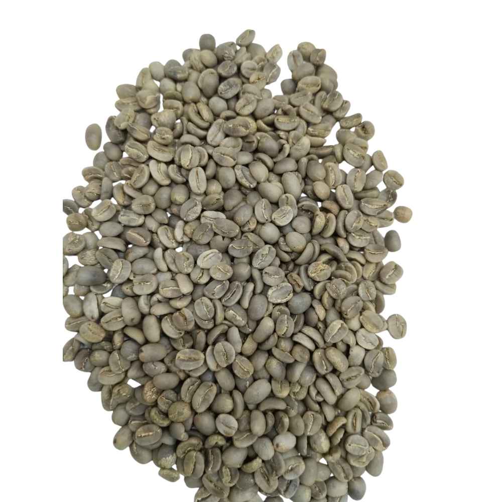 Preparación europa - Imagen 2